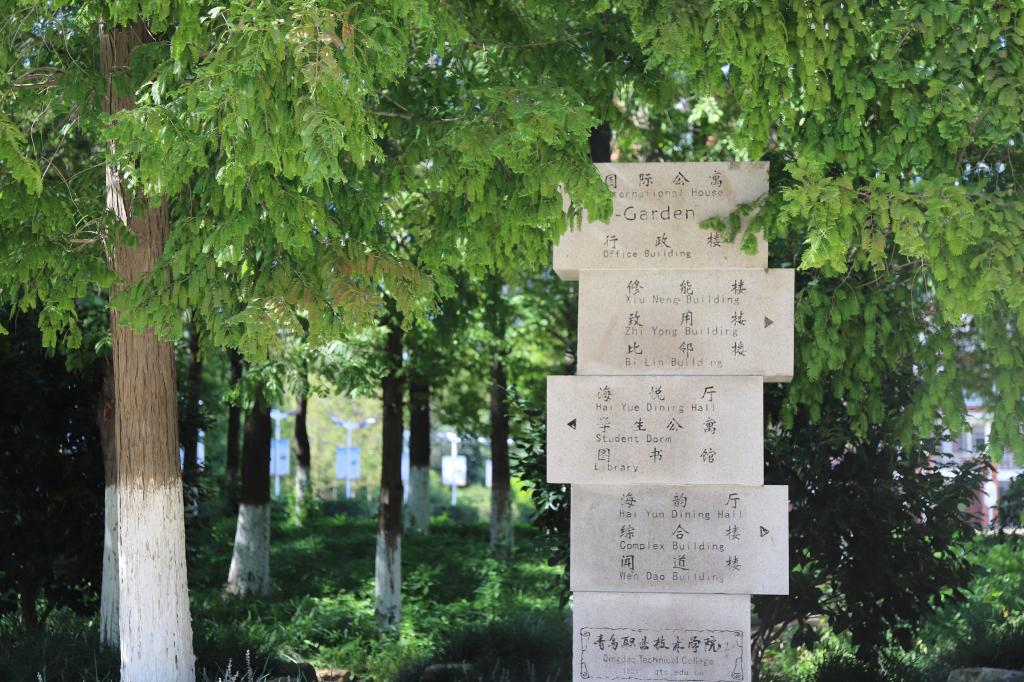 鲁公网安备 370210020000