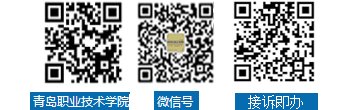 鲁公网安备 370210020000
